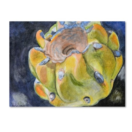 Jennifer Redstreake 'Cactus Fruit' Canvas Art,14x19